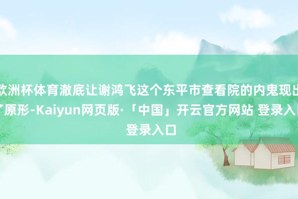 欧洲杯体育澈底让谢鸿飞这个东平市查看院的内鬼现出了原形-Kaiyun网页版·「中国」开云官方网站 登录入口