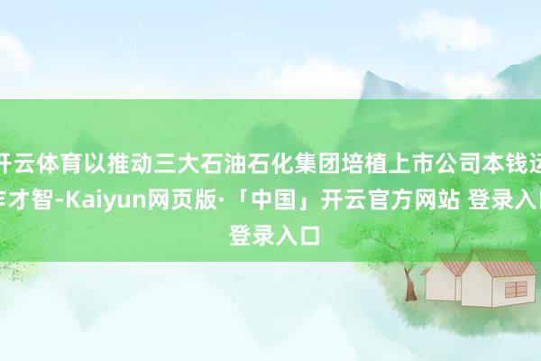 开云体育以推动三大石油石化集团培植上市公司本钱运作才智-Kaiyun网页版·「中国」开云官方网站 登录入口