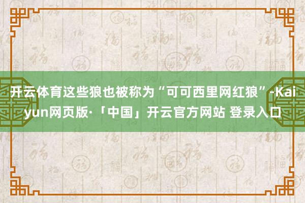 开云体育这些狼也被称为“可可西里网红狼”-Kaiyun网页版·「中国」开云官方网站 登录入口